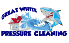 Great White Pressure Cleaning Logo